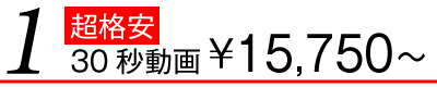 超格安30秒動画¥15,750